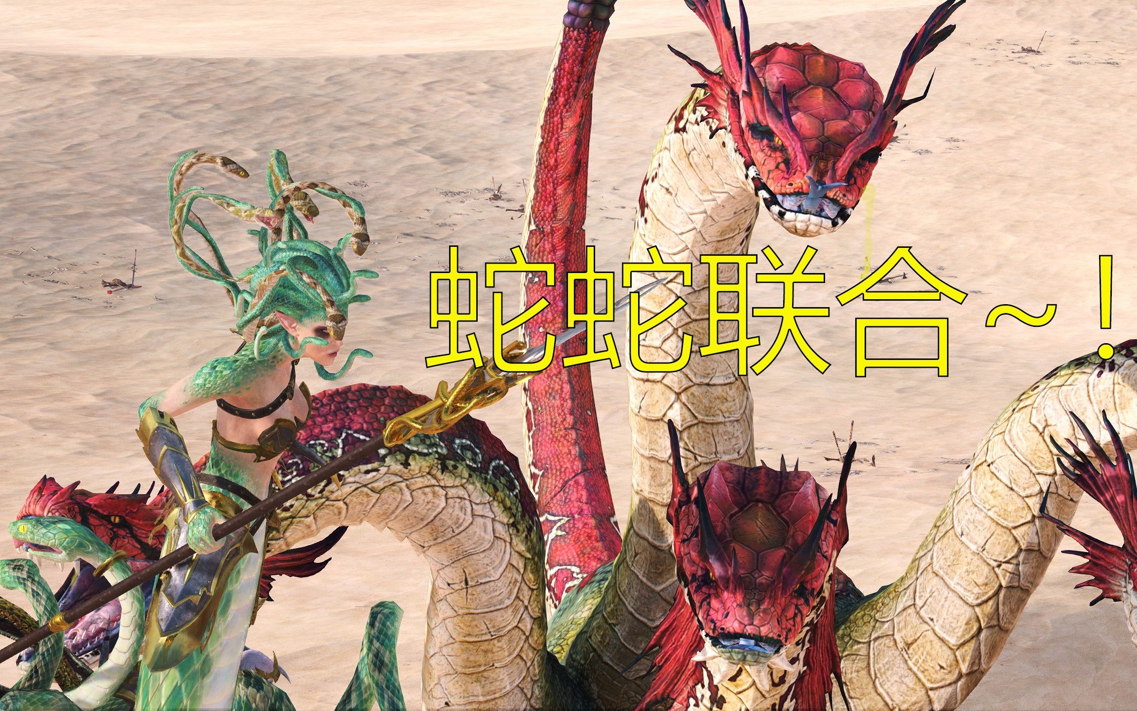 战锤2全面战争四军之战多头蛇配多蛇头暗精灵抱团破阵