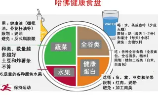 均衡饮食 搜索结果 哔哩哔哩 Bilibili