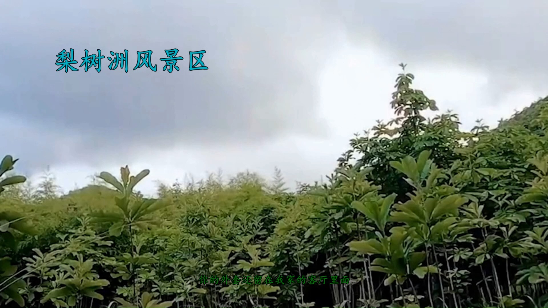 湖南省株洲市炎陵县著名风景欣赏哔哩哔哩bilibili