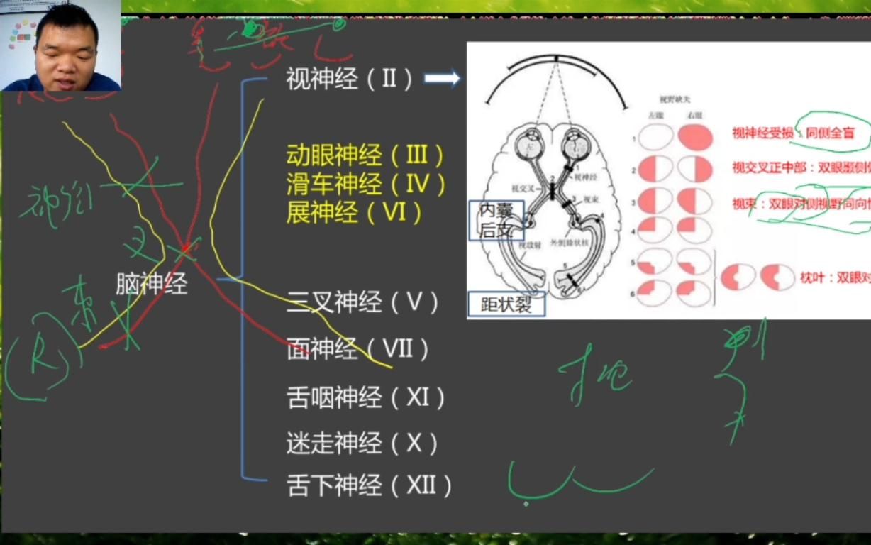 [图]执考笔试-从上帝视角打开神经系统疾病，1小时搞定神经概述