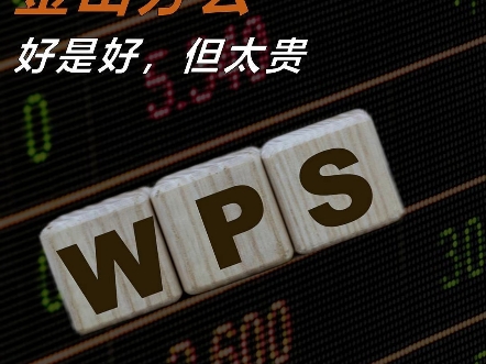 金山办公怎么估值,WPS贵不贵哔哩哔哩bilibili