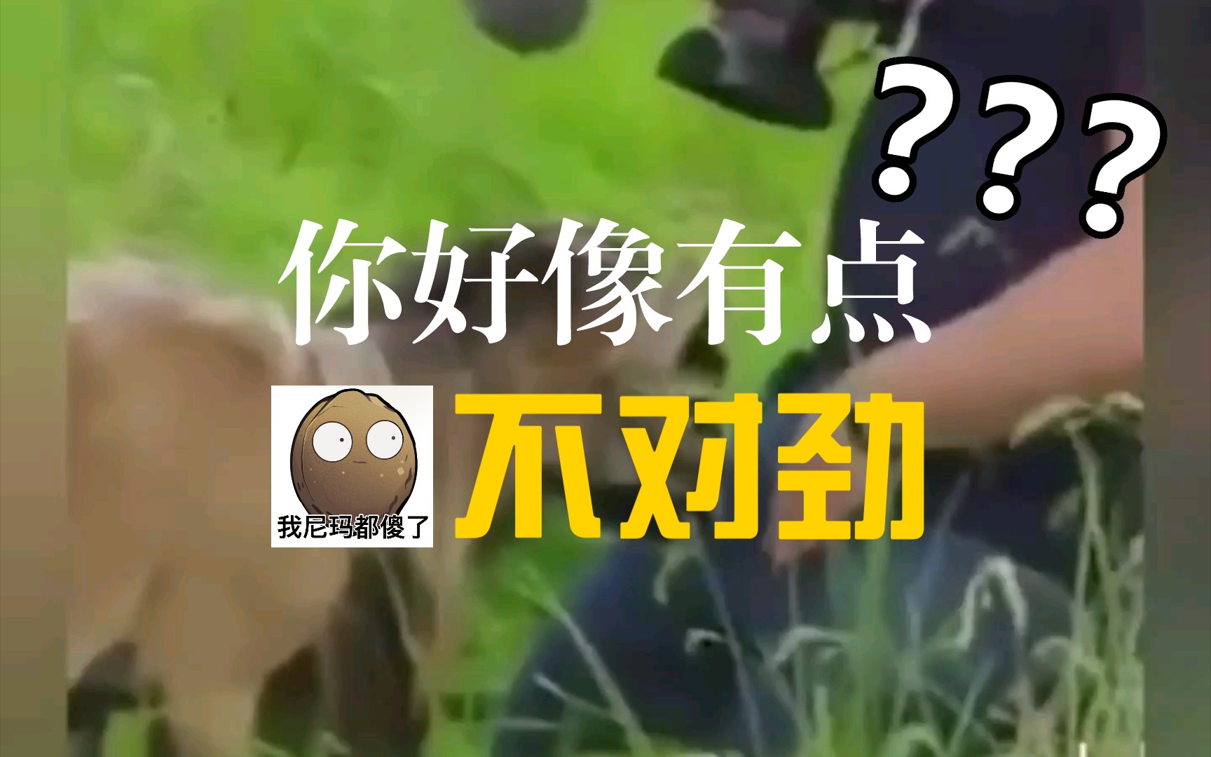 活动作品大意了