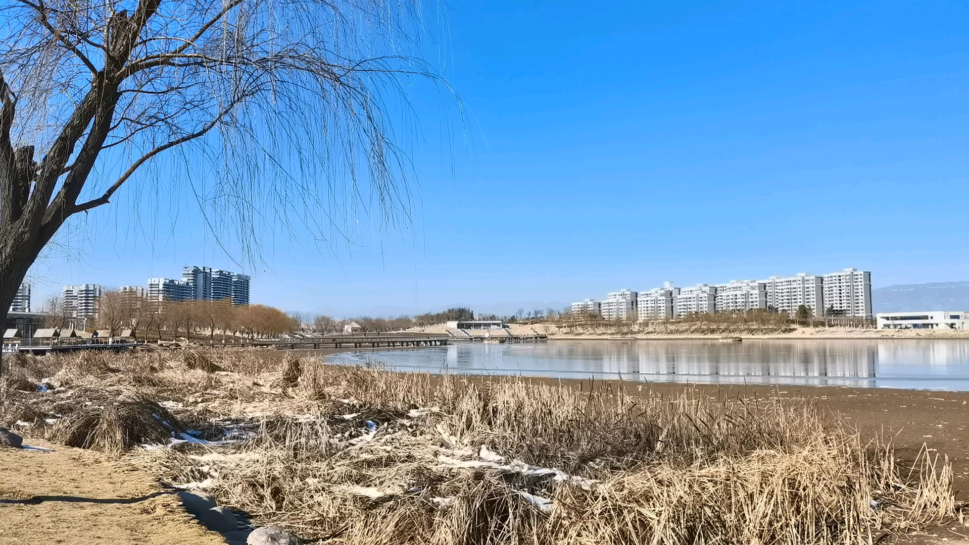 寻找冬日的色彩:济源东湖公园的静谧之美