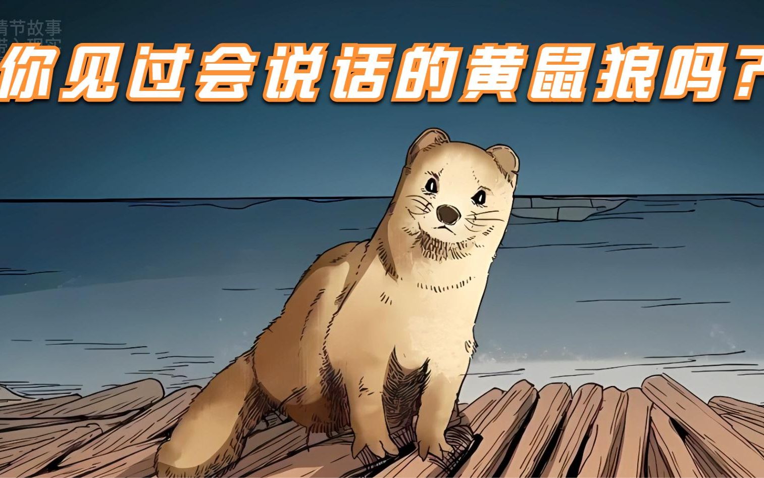 你见过会说话的黄鼠狼吗?
