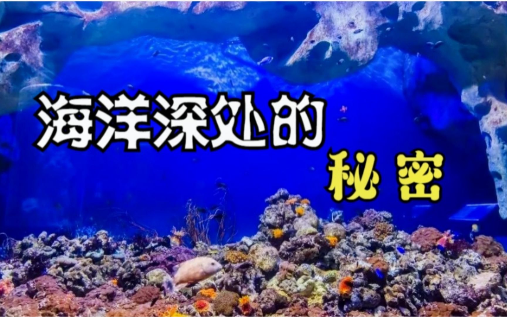 [图]海洋深处真的寂静恐怖吗，深海的霸主是谁，隐藏在海洋深处的秘密