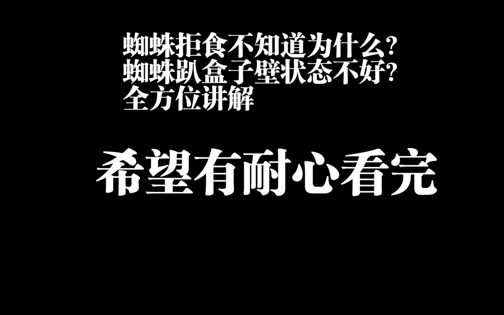 关于蜘蛛拒食因素及状态调整碎碎念哔哩哔哩bilibili