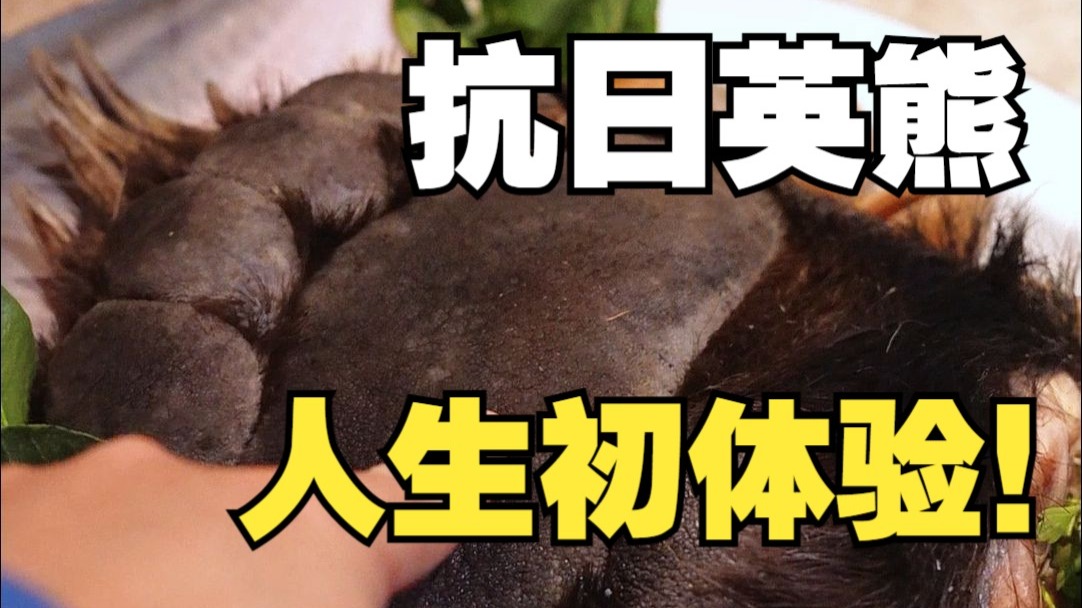 每天被吃掉的日本人那么多 怪不得合法...