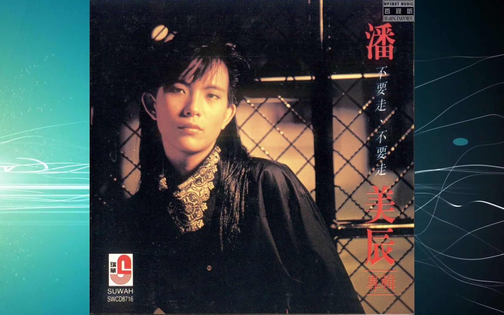 潘美辰《不要走不要走》专辑70,80,90年代怀旧经典老歌台湾歌手