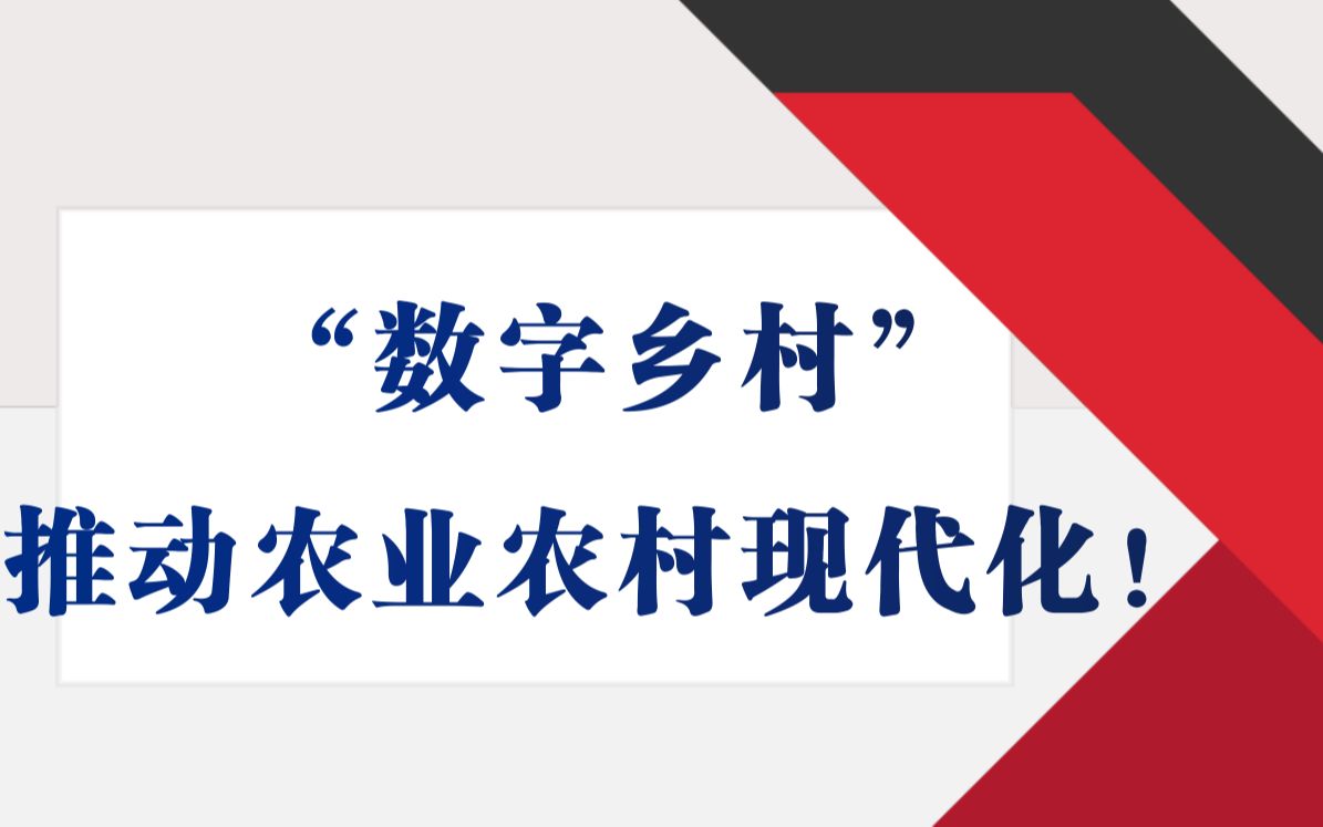 [图]【申论通讯社】《人民日报》“锐评”——数字乡村建设