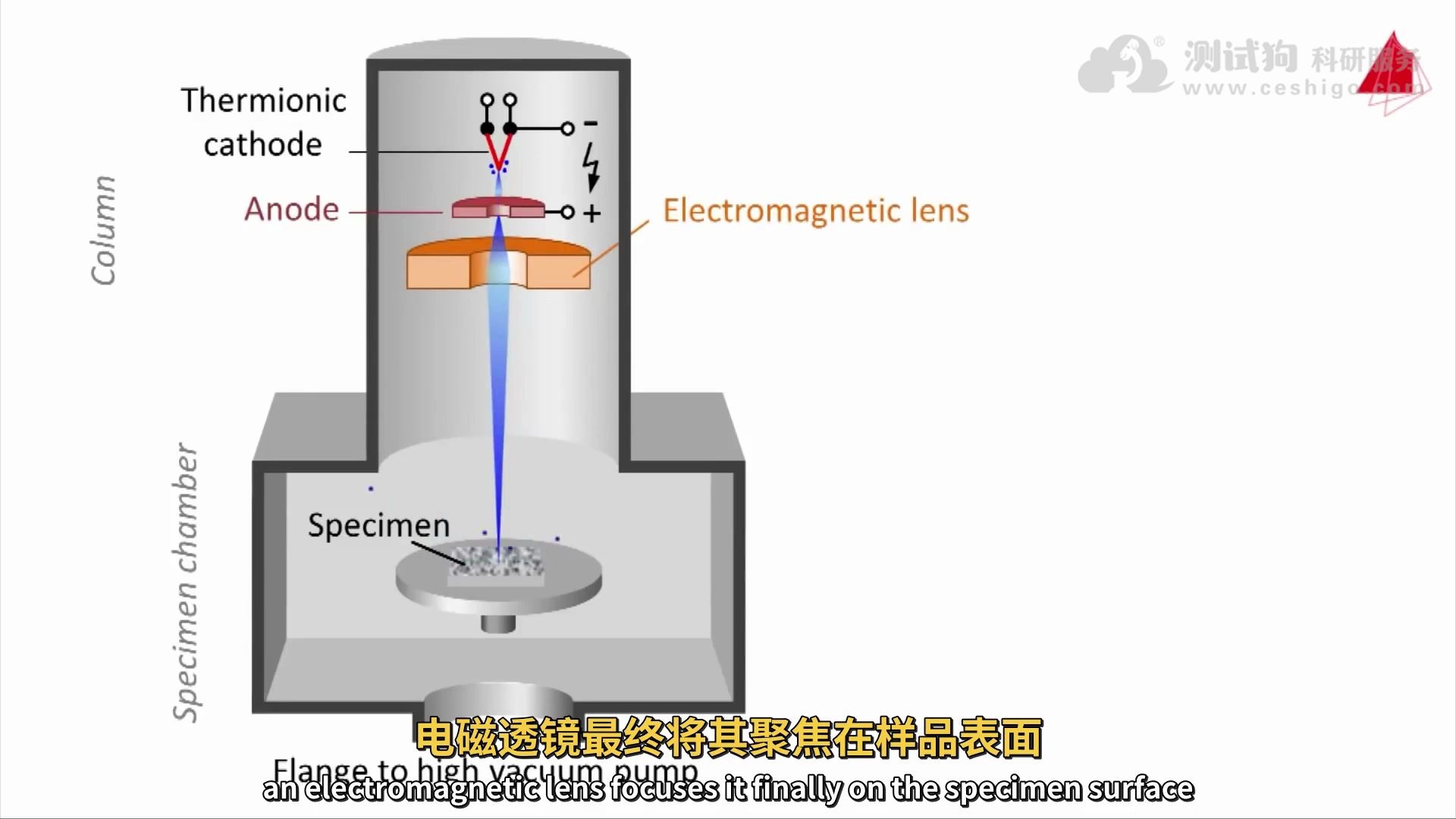 【表征技术100例5】经常测试扫描电镜的你,真的了解它是如何工作的吗?哔哩哔哩bilibili