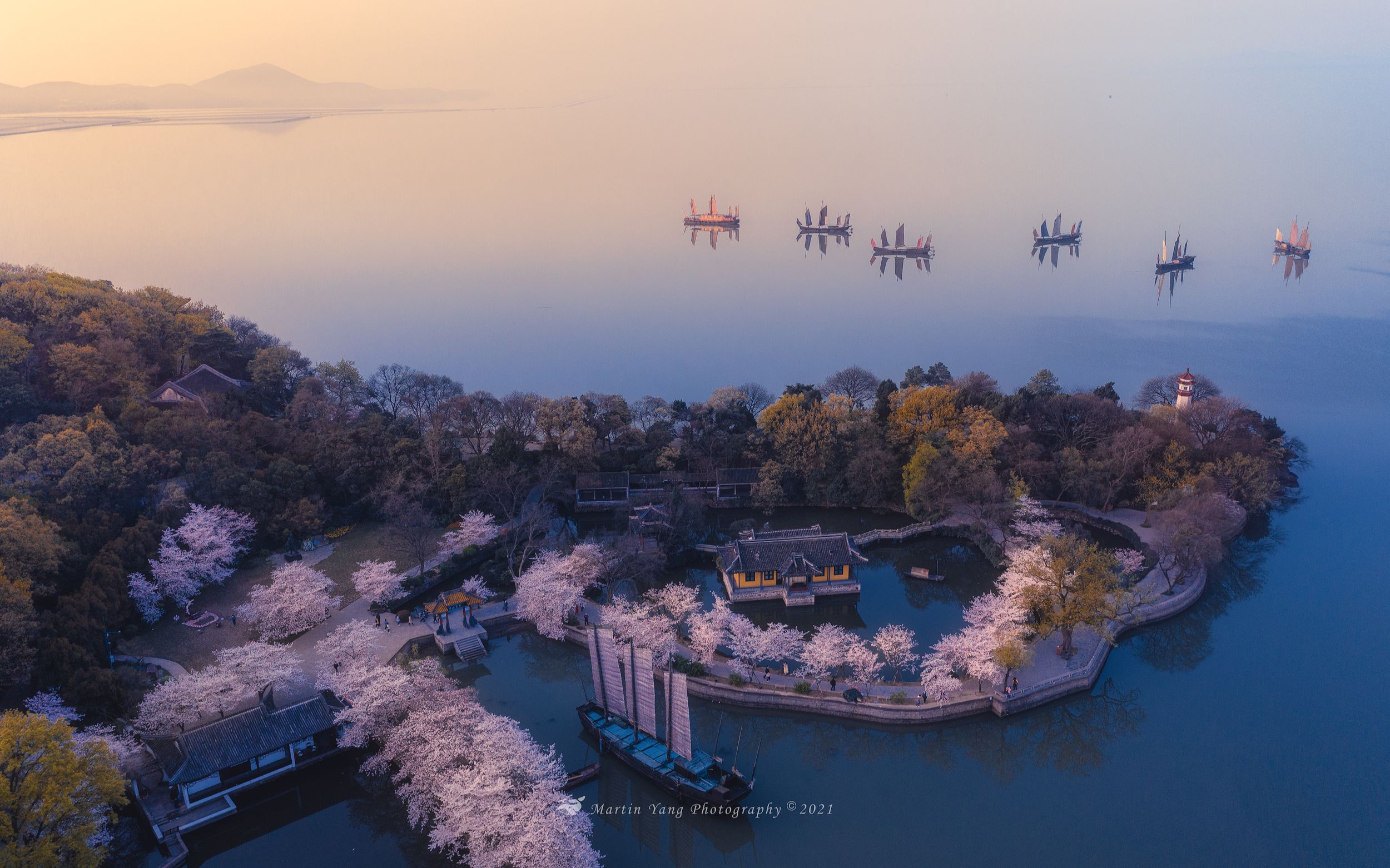 2021无锡鼋头渚樱花季中国第一赏樱胜地美不胜收