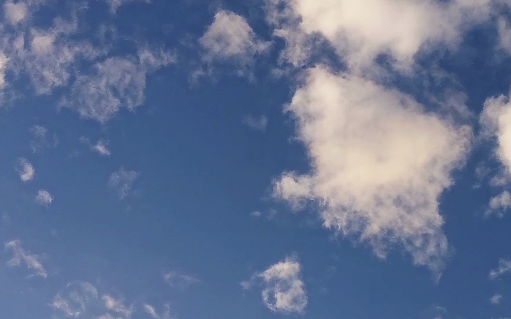 手机里的2021