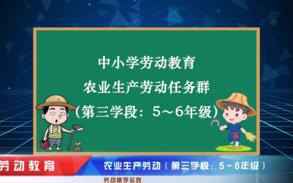 [图]中小学劳动教育任务群——农业生产劳动（第三学段：5～6年级）