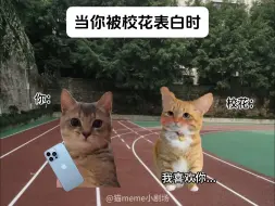 Tải video: 当你被校花表白时