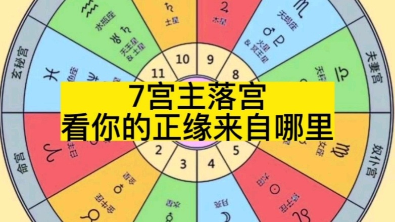 7宫主落宫看你的正缘在哪里相遇?哔哩哔哩bilibili