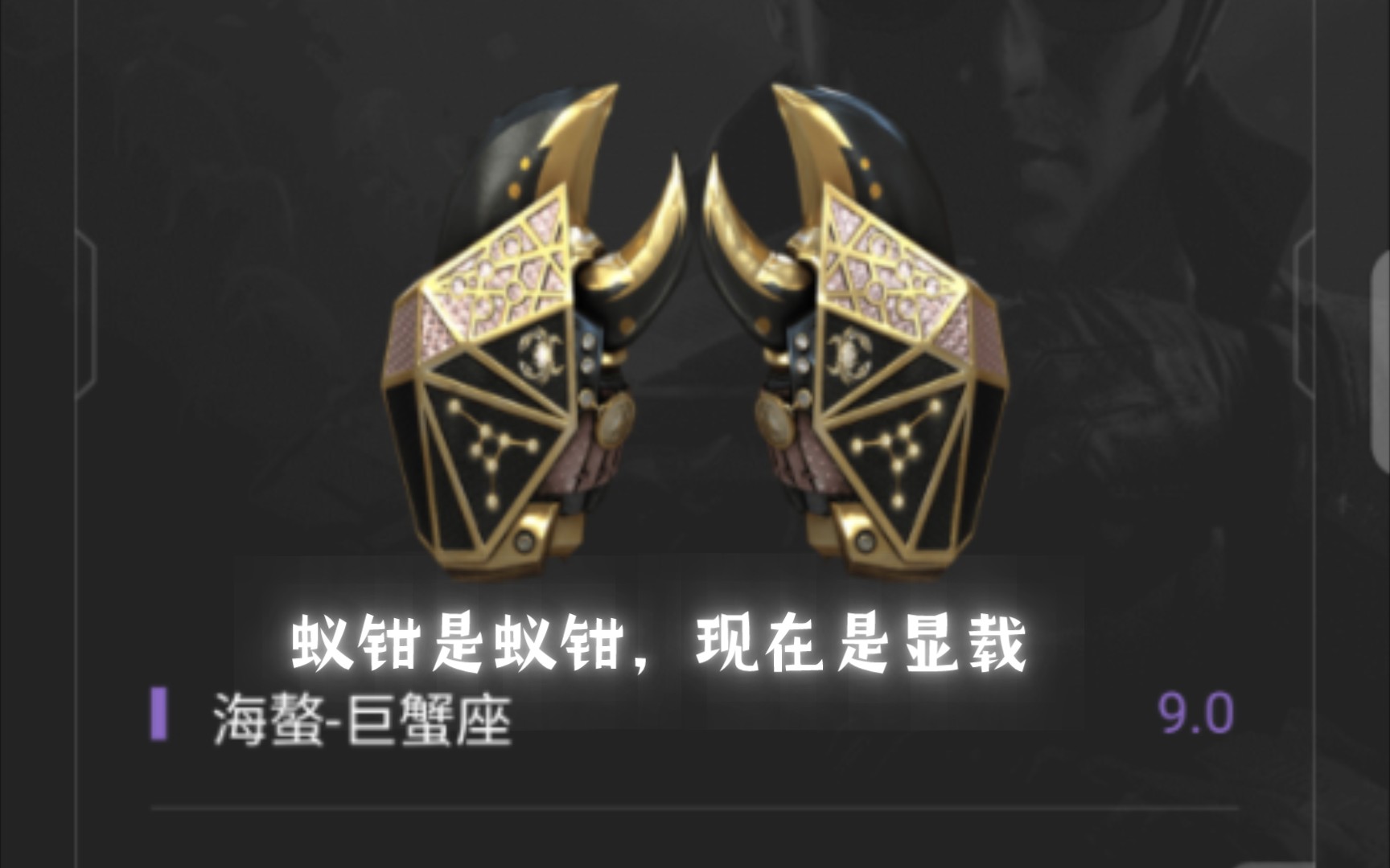 菜,就多练.蚁钳是以钱,现在是显载