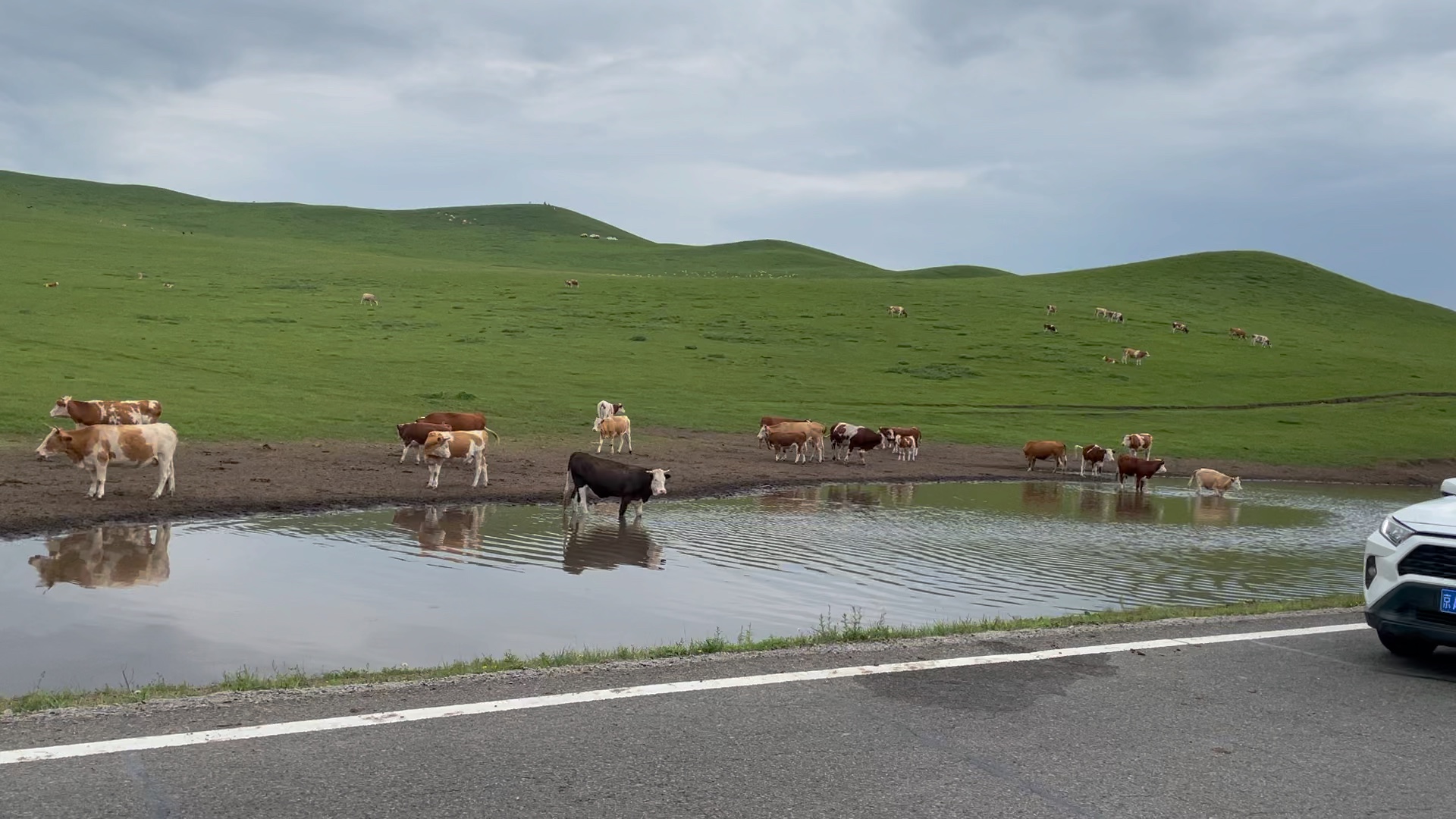 大美中国之内蒙古 达达线