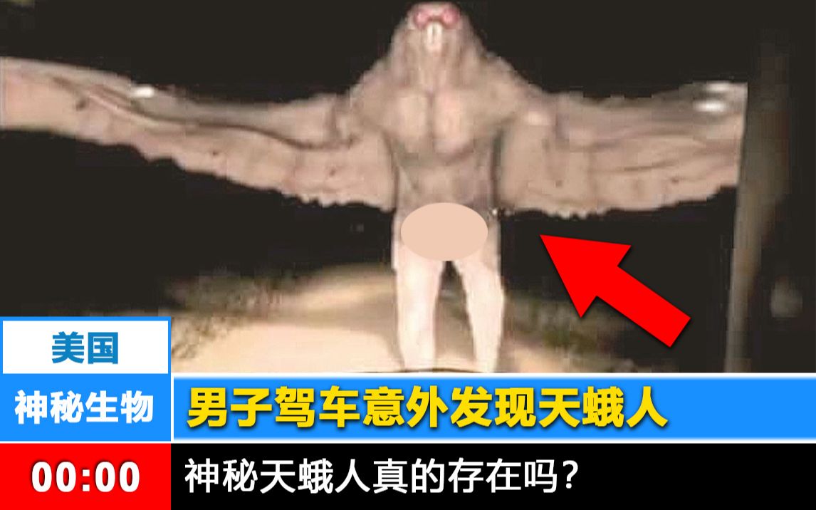 [图]【神秘生物】天蛾人在美国被人发现！