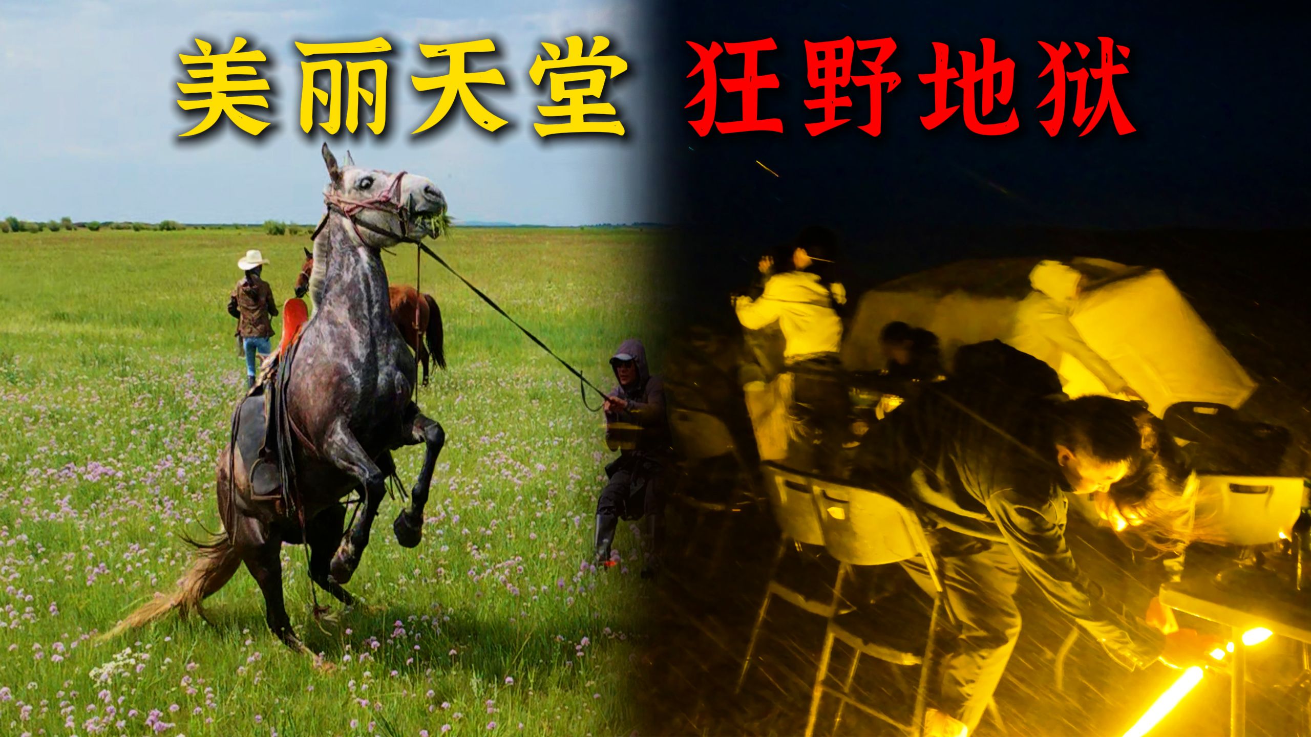 【老西部旅行家】第一期：草原-美丽与危机共存的狂野冒险