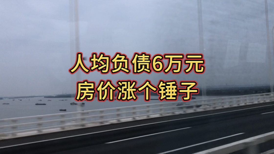 人均负债6万元,房价涨个锤子哔哩哔哩bilibili