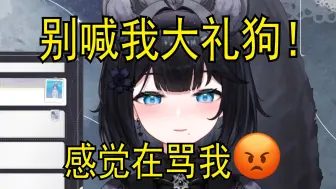 Descargar video: 【花礼Harei】大李狗大李狗！怎么感觉在骂我😡