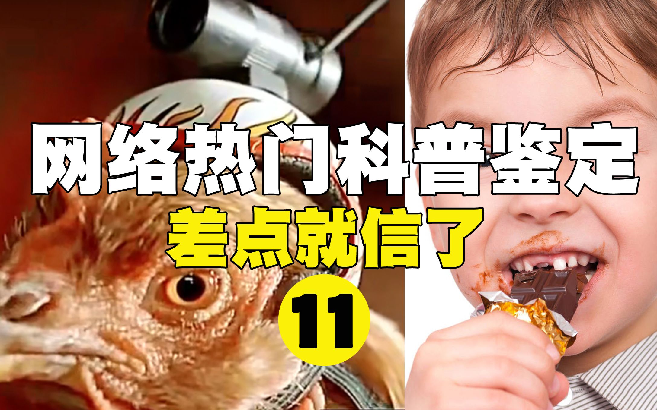 【鉴定热门】每块巧克力中都有8条虫子腿?稳定器的设计原理竟然来自鸡头?哔哩哔哩bilibili