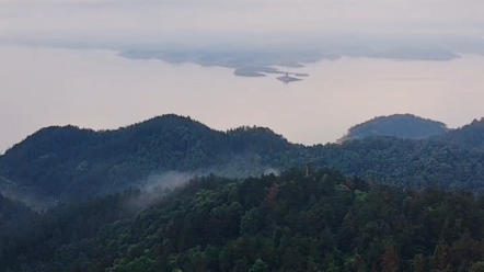 清晨,武当山龙王沟山顶的风景,云雾缭绕,让人心旷神怡哔哩哔哩bilibili