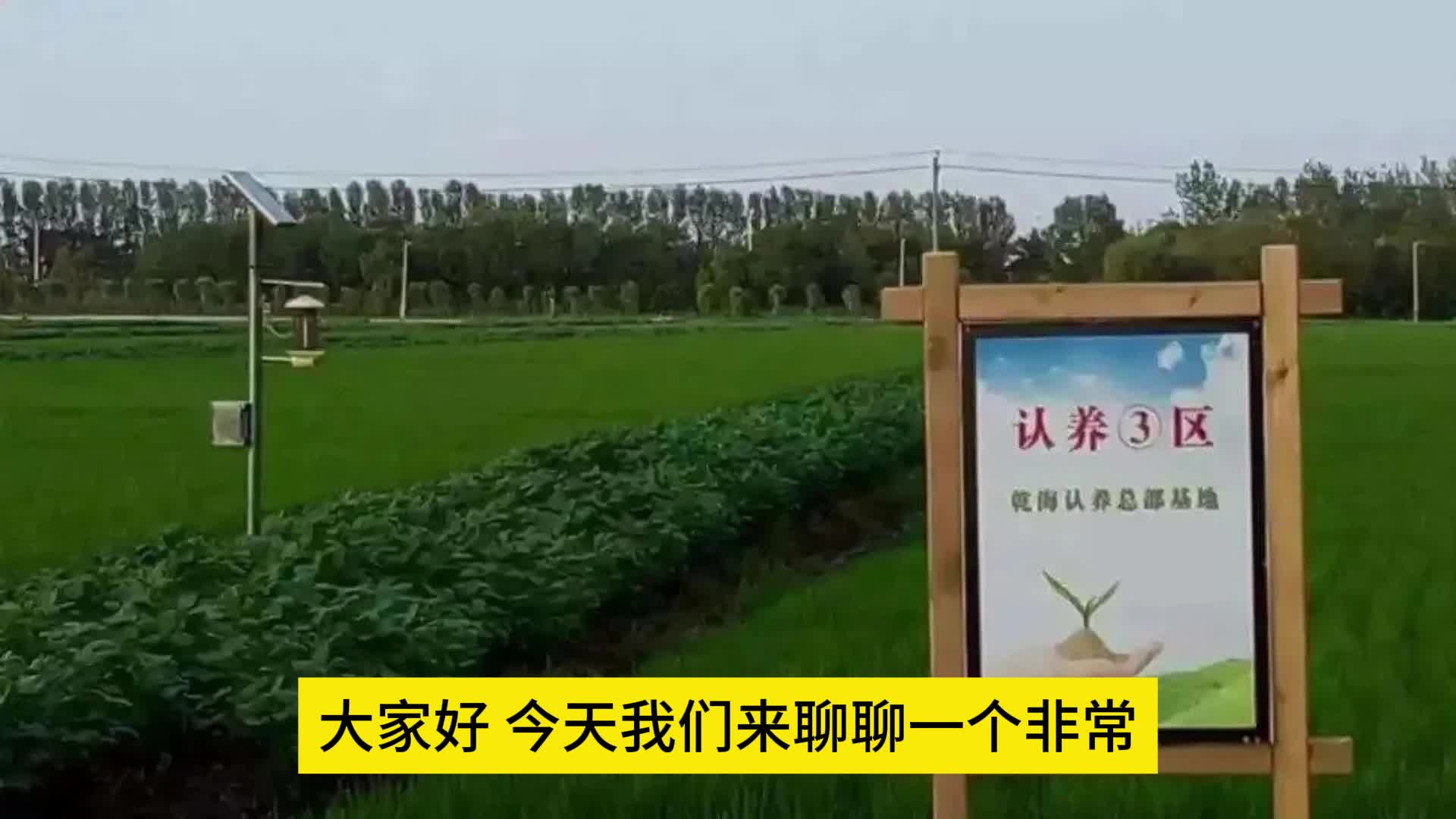 云认养:让土特产飞上云端,创新农业新模式