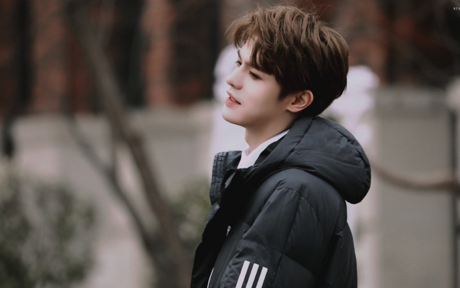 【何德瑞安利向——鸽子】如果暗恋无疾而终