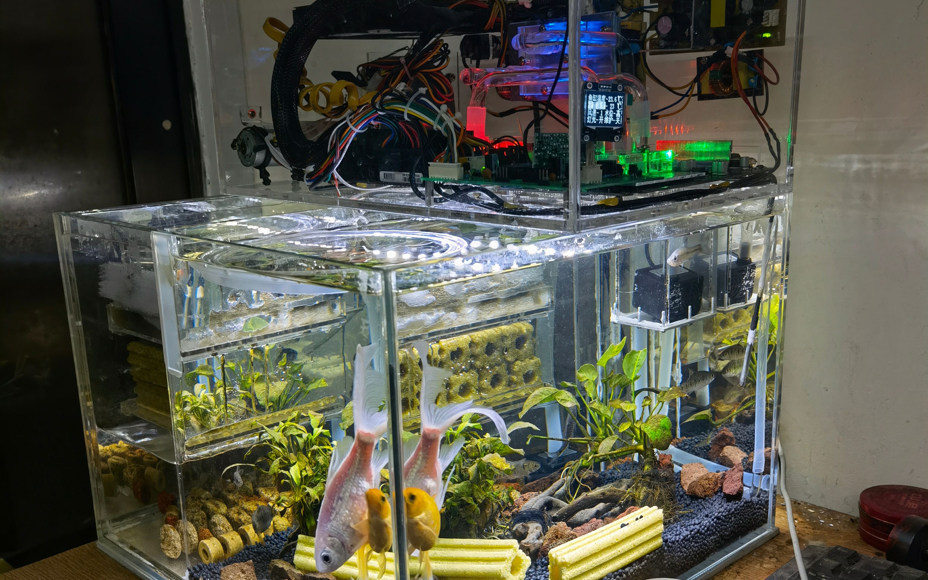 鱼缸水冷2_哔哩哔哩_bilibili
