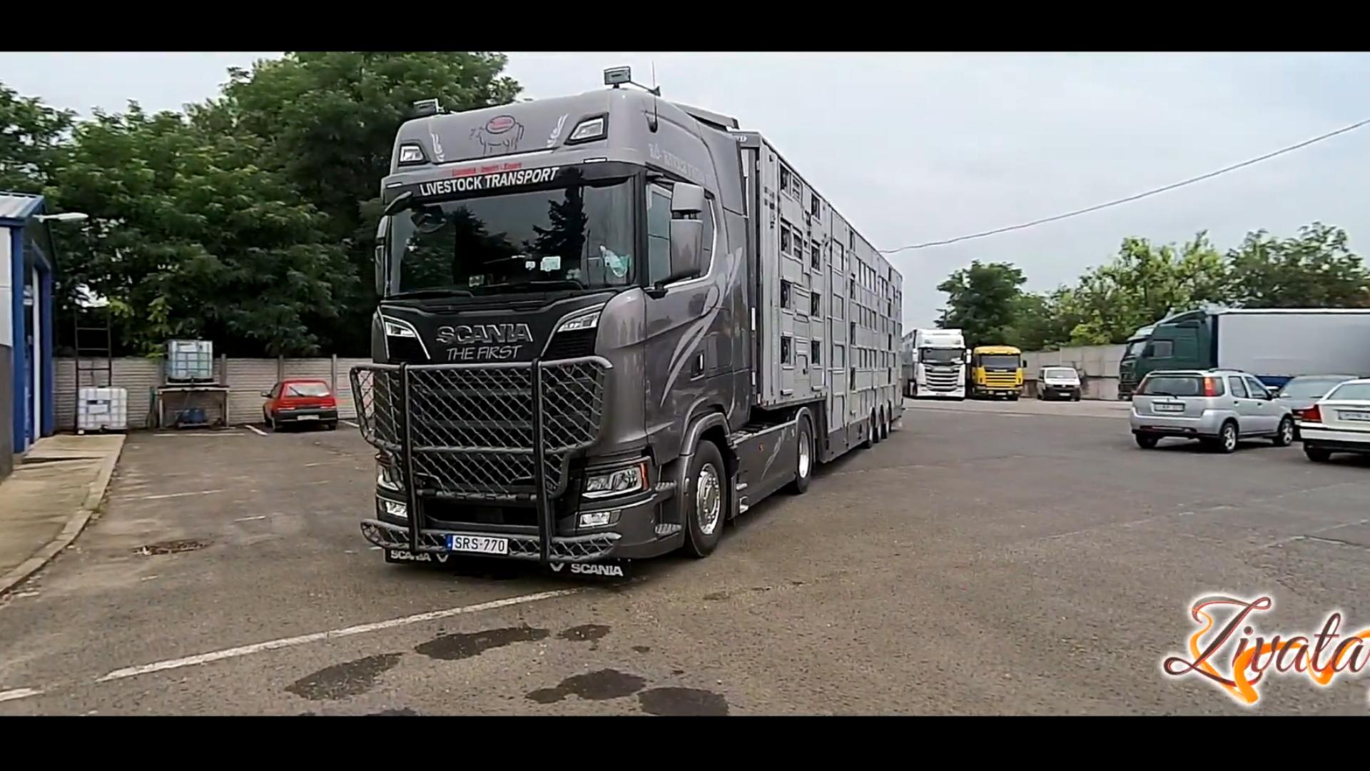 公路之王斯堪尼亚 scania 770s v8细节拍摄和副驾跟车