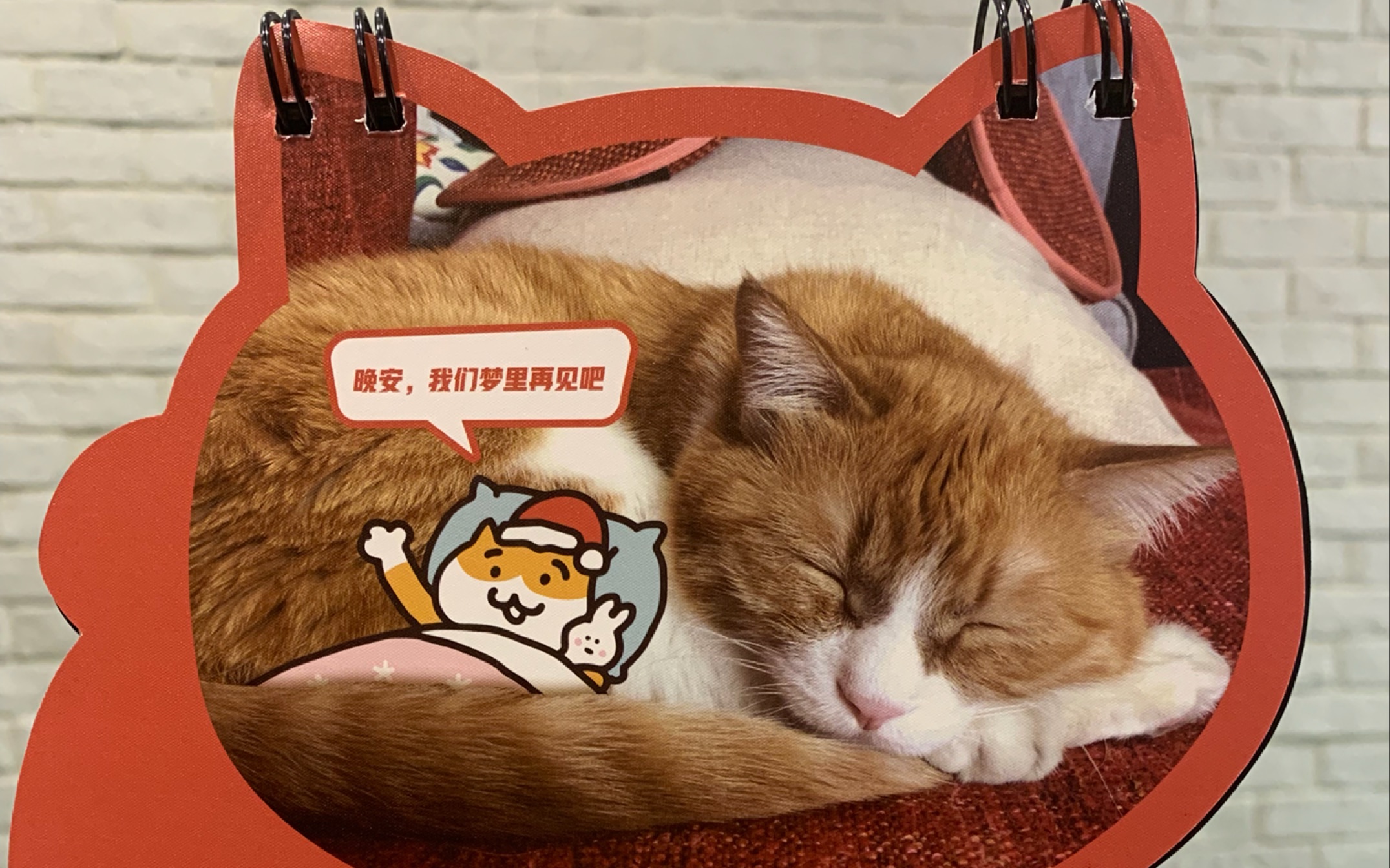 papi家的大小咪台历开箱