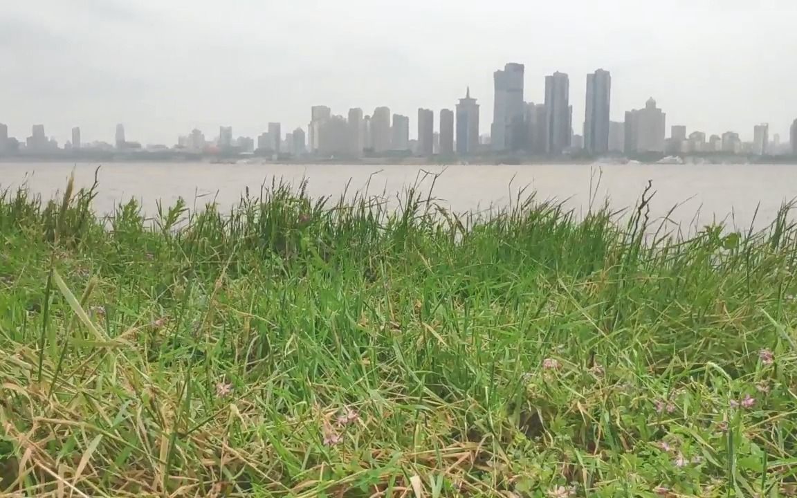 [图]江边漫步，微风又绿江岸，这就是斜风细雨不须归吧