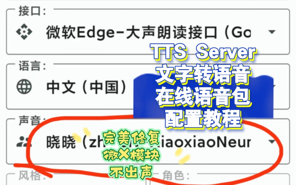 【张诗雨教程】不会用微X模块调用在线语音包的可以看这里!TTS Server文字转语音在线语音包配置教程,可以配合微X模块的文字转语音功能使用.哔哩...