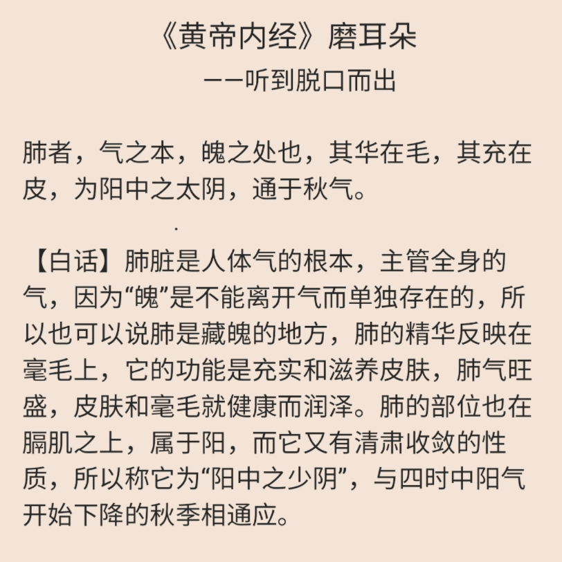 《黄帝内经》磨耳朵【六节藏象论篇第九】肺者气之本(百遍循环脱口而