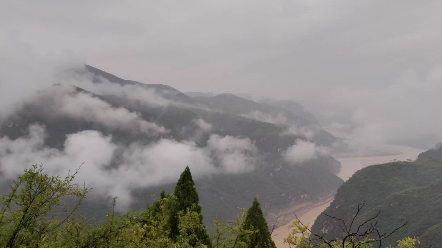 雨中夏县哔哩哔哩bilibili