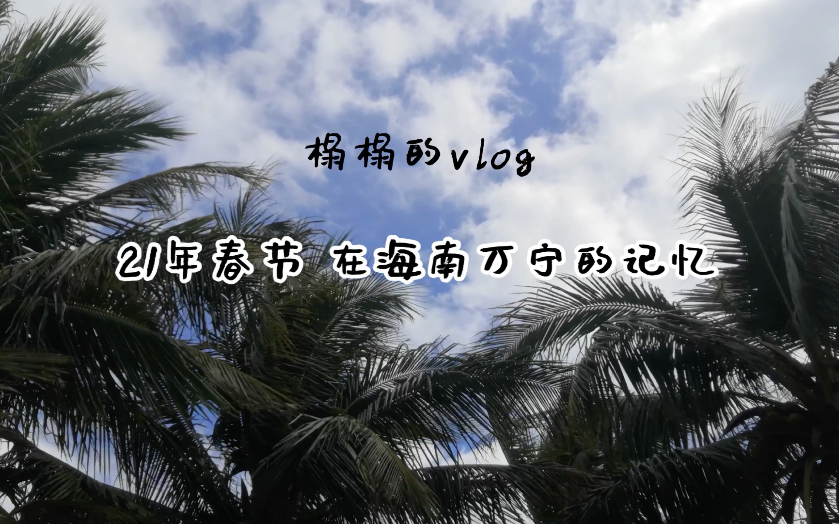 榻榻的vlog|海南万宁 冲浪 浮潜 新年哔哩哔哩bilibili