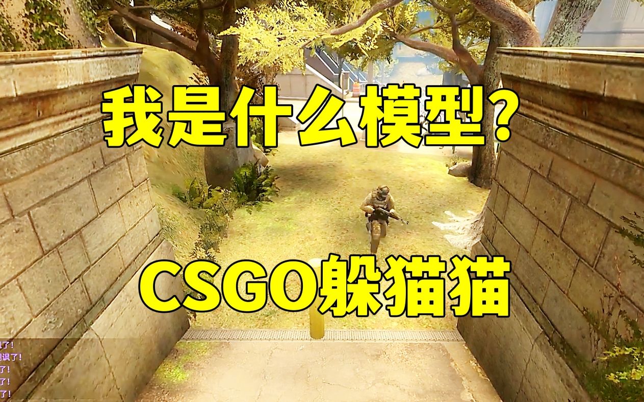 csgo躲猫猫,猜猜我是什么模型,藏的还算合理,结果.