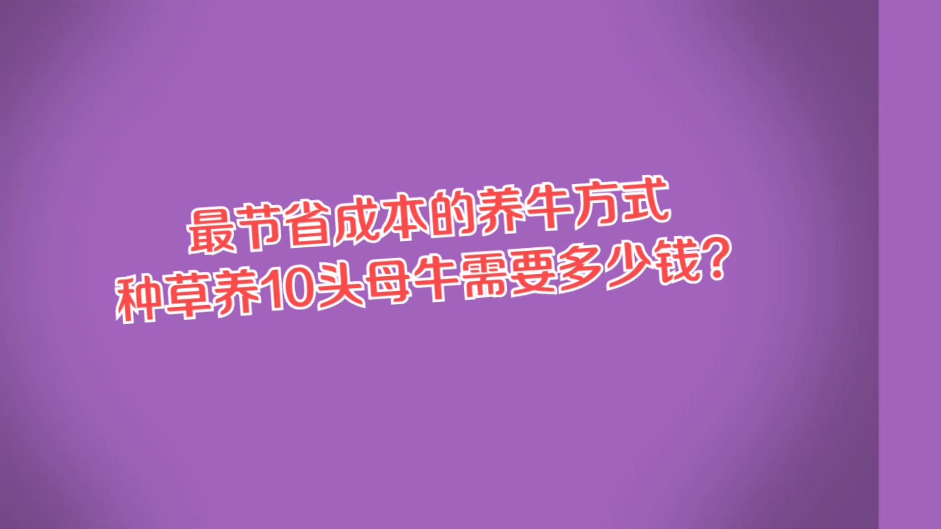 最节省成本的养牛方式,种草养10头母牛需要多少钱?哔哩哔哩bilibili