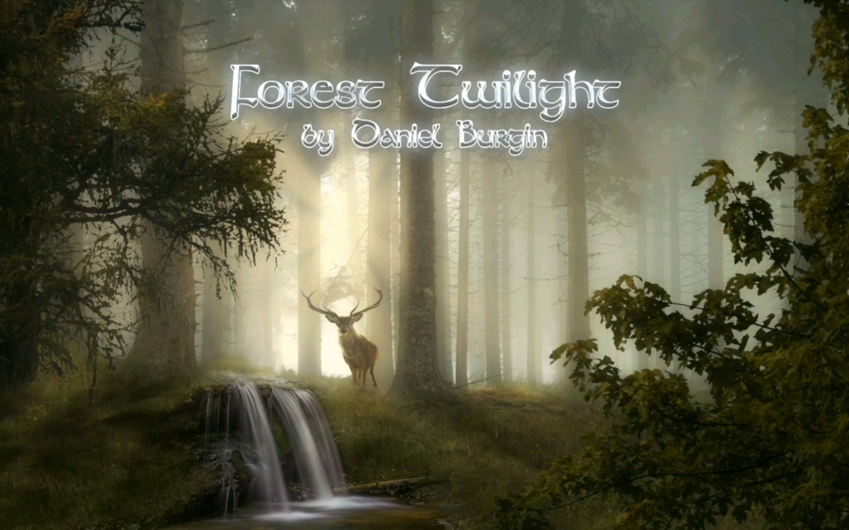 【凯尔特音乐】昏光木林Forest Twilight哔哩哔哩bilibili