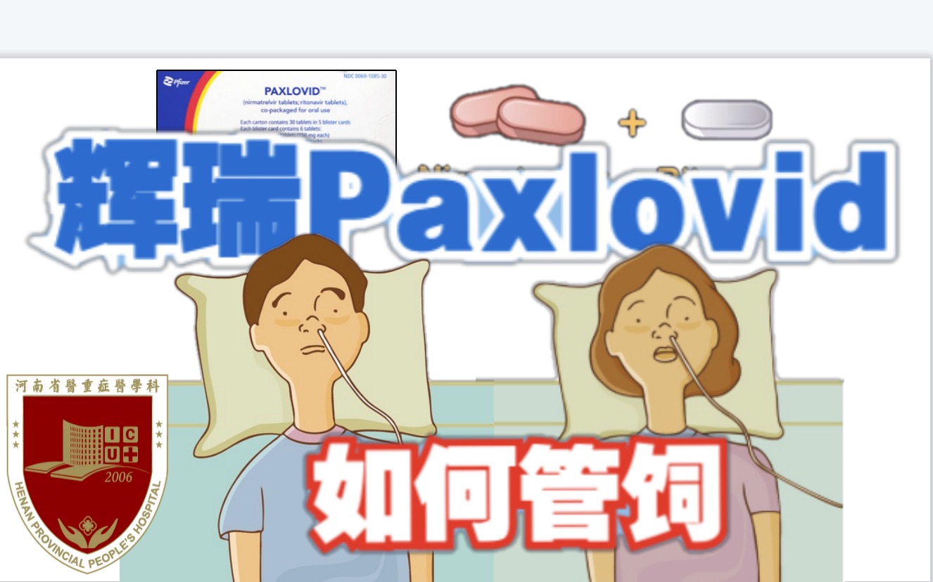 Paxlovid 辉瑞新冠抗病毒药物如何管饲:河南省人民医院重症团队出品哔哩哔哩bilibili