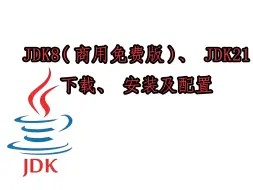 Download Video: JDK下载安装及配置（以JDK8、JDK21为例）