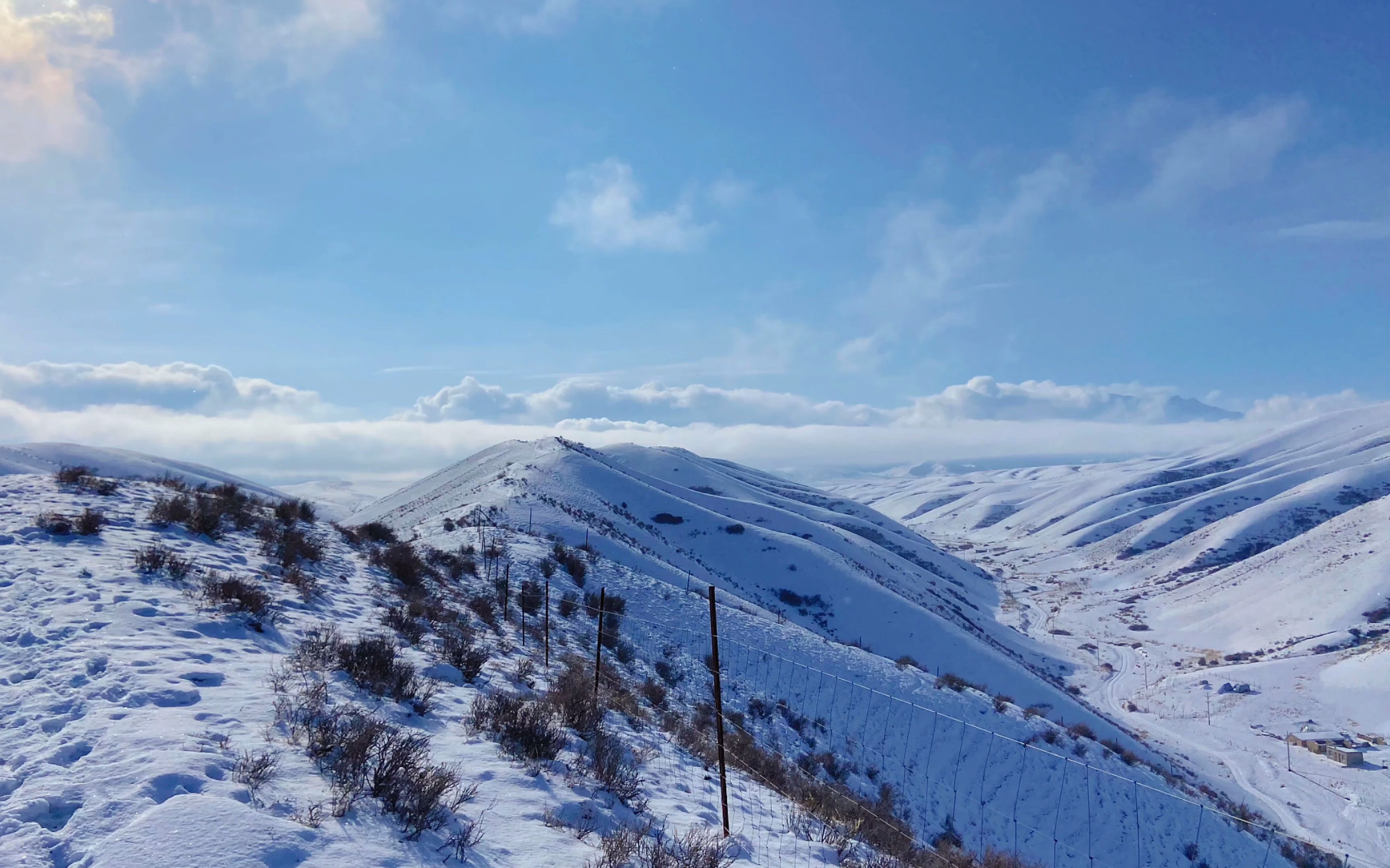 五一大漠夏天的雪山你见过吗