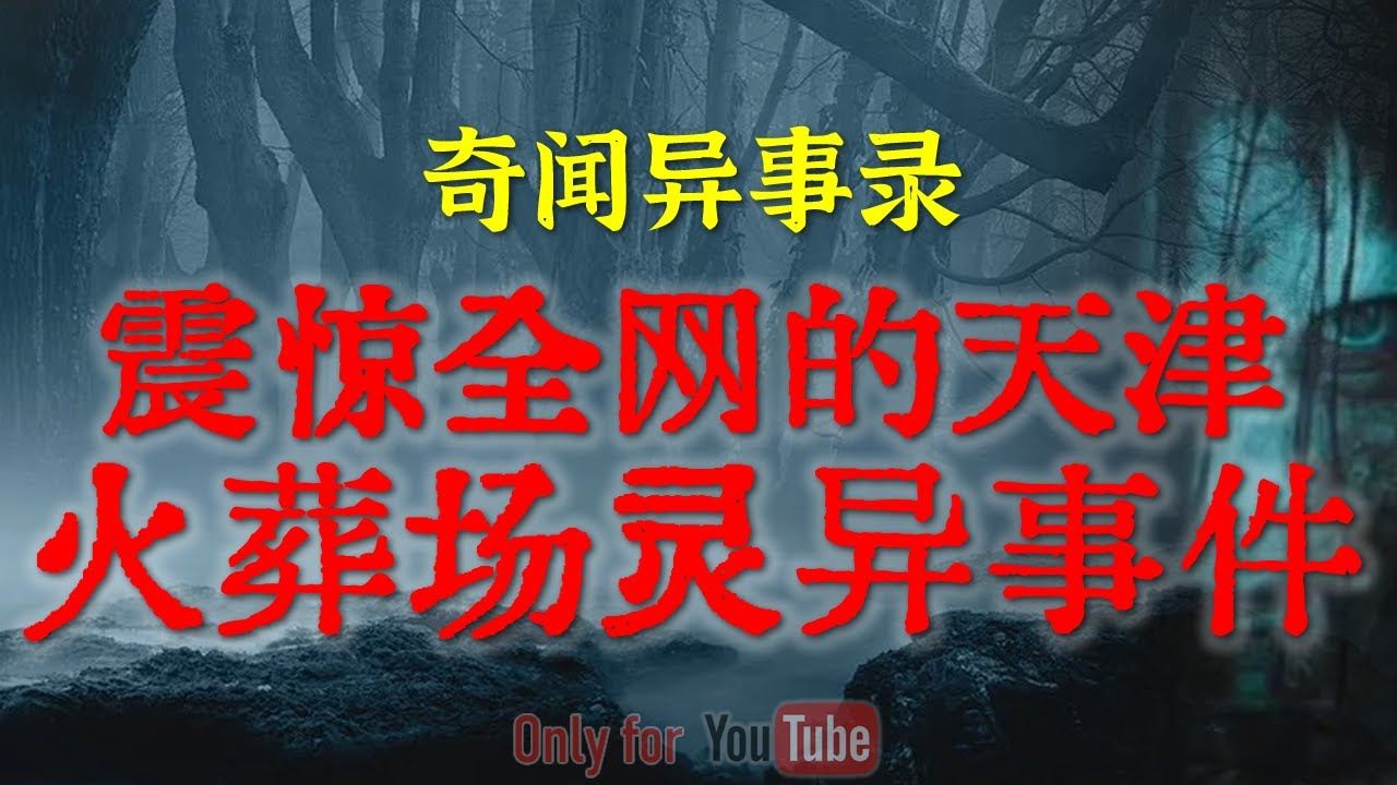 【灵异故事】诡异的凶杀案,恐怖程度堪比灵异事件| 震惊全网的天津火葬场灵异事件|鬼故事|灵异诡谈|恐怖故事|解压故事|网友讲述的灵异故事|民间鬼故事|灵...