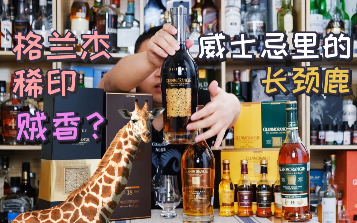 威士忌中的长颈鹿——Glenmorangie格兰杰哔哩哔哩bilibili