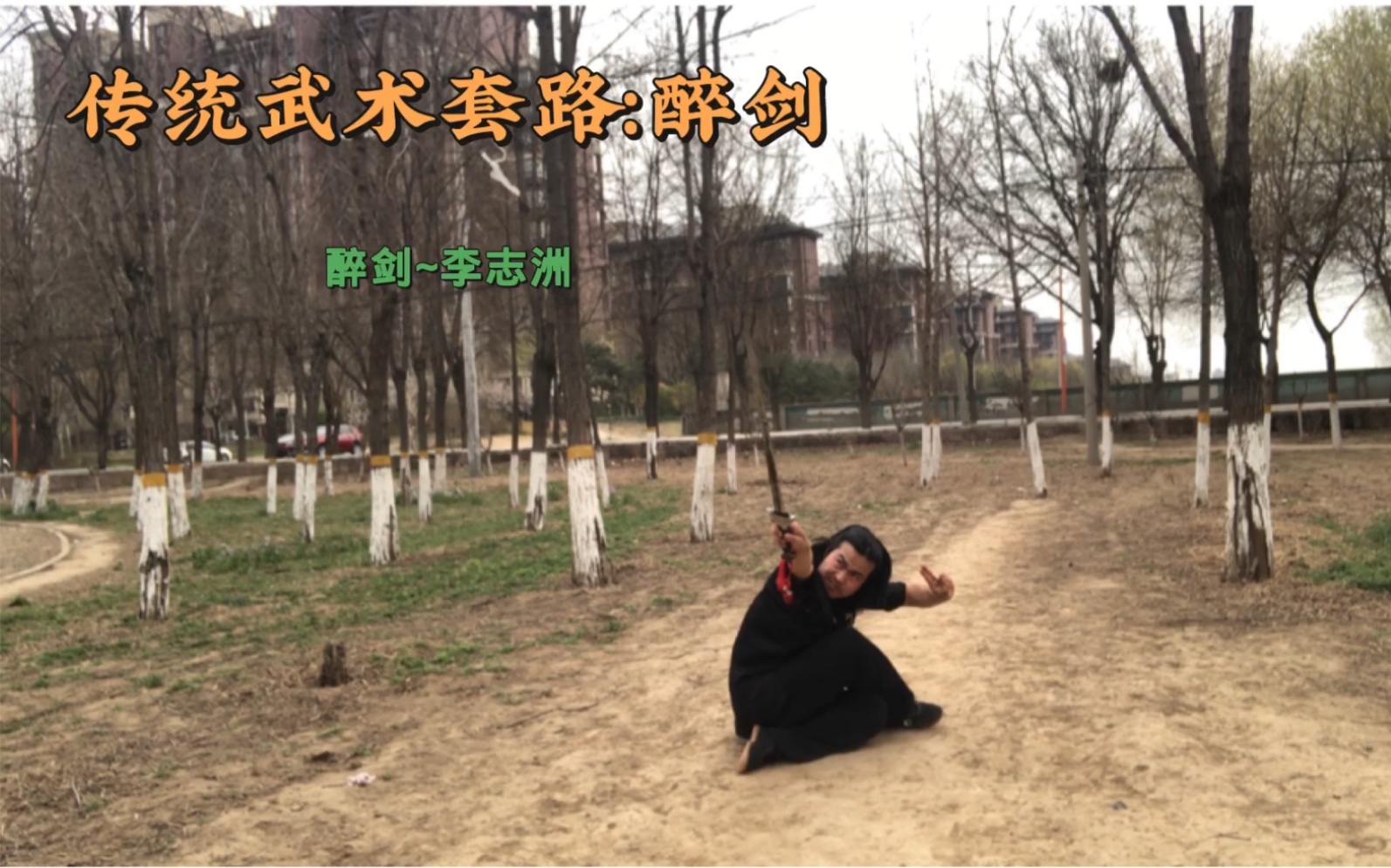 李志洲经典武术套路:醉剑