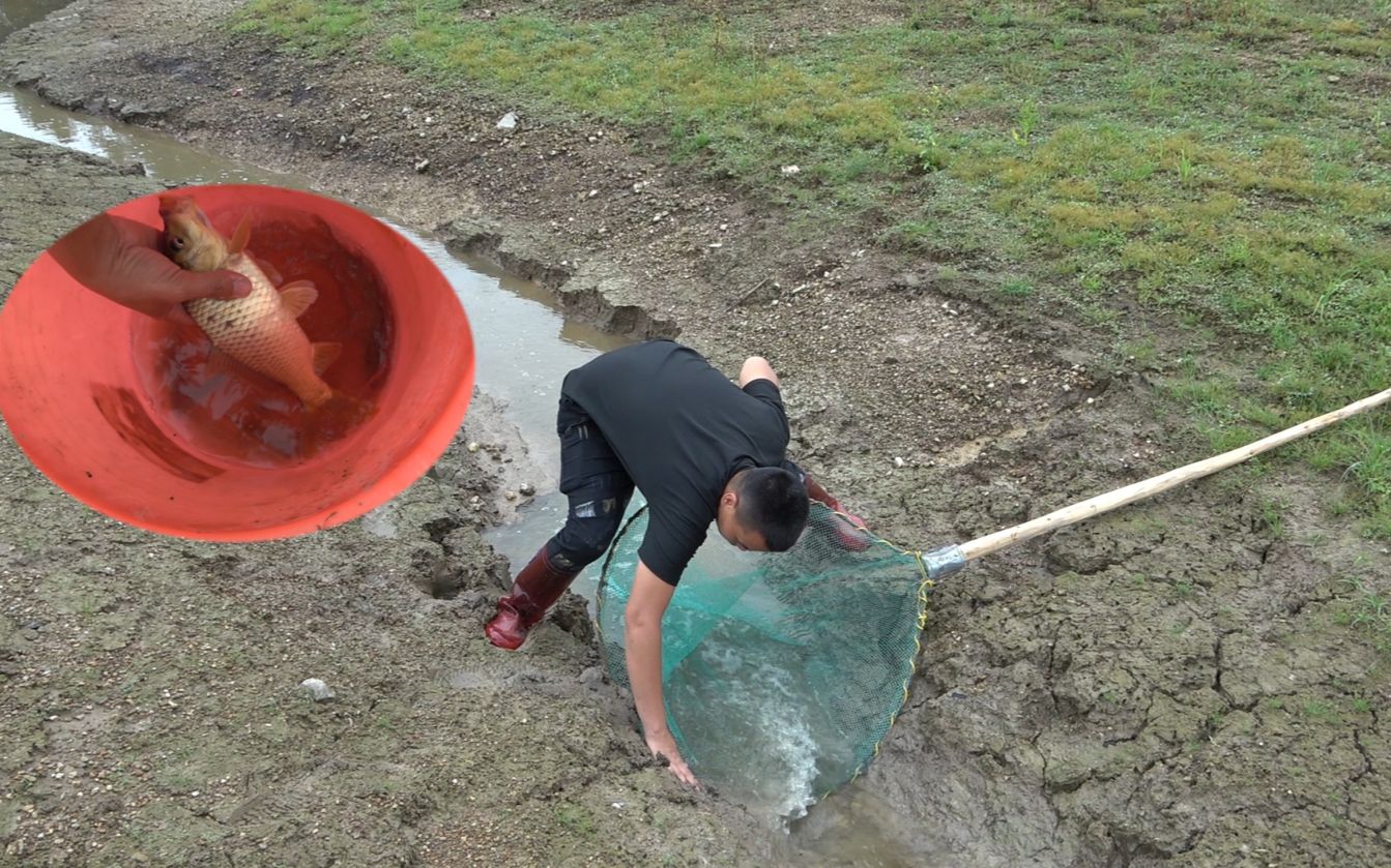 小胖和朋友户外求生第一期,发洪水利用大抄网拦鱼,捉鱼