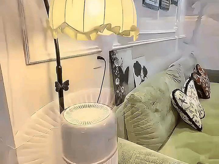 气熙（airx）小气泡无雾加湿器家用轻音静卧室孕妇空气冷蒸发式H8pro H8Pro白