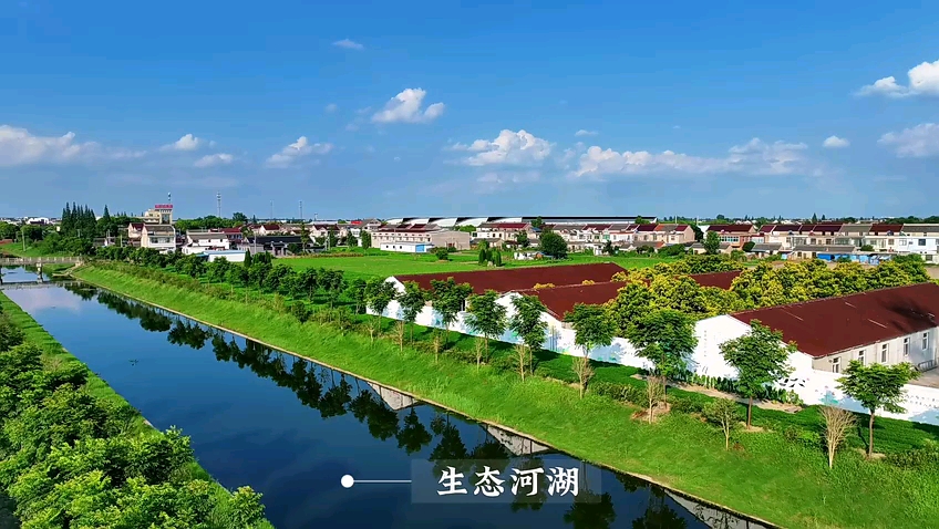 2023年航拍"我的美丽家乡"|江苏泰州姜堰区:红色蒋垛 美丽家乡