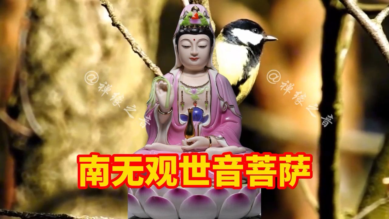 寺院早晚《南无观世音菩萨》敬善缓,愿你平安健康,快乐幸福!哔哩哔哩bilibili